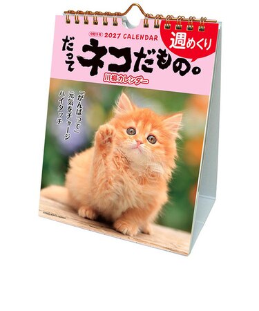 【2027年版・壁掛卓上兼用】　アクティブコーポレーション　週めくり　だってネコだもの。　27ACL-567