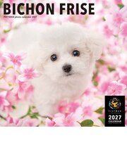 【2027年版・壁掛】 ピクトワン(PICTWAN) ビション・フリーゼ L判 L003