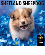 【2027年版・壁掛】 ピクトワン(PICTWAN) シェットランド・シープドッグ L判 L024