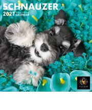 【2027年版・壁掛】　ピクトワン（PICTWAN）　シュナウザー　S判　S044