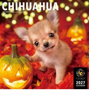 【2027年版・壁掛】　ピクトワン（PICTWAN）　チワワ　L判　L008
