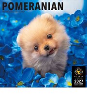 【2027年版・壁掛】　ピクトワン（PICTWAN）　ポメラニアン　L判　L020