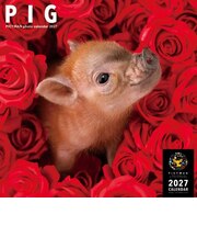 【2027年版・壁掛】 ピクトワン(PICTWAN) ピッグ L判 L032