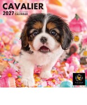 【2027年版・壁掛】 ピクトワン(PICTWAN) キャバリア S判 S037
