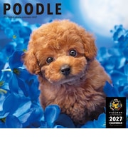 【2027年版・壁掛】　ピクトワン（PICTWAN）　プードル　L判　L021