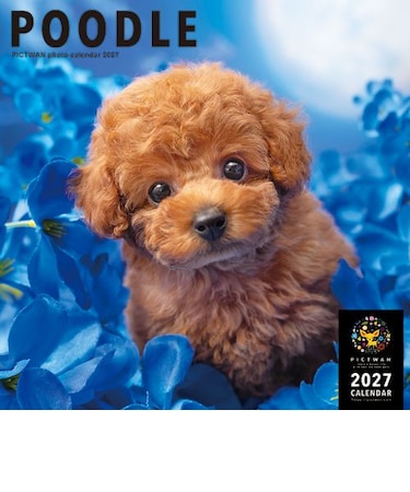 【2027年版・壁掛】　ピクトワン（PICTWAN）　プードル　L判　L021