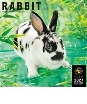 【2027年版・壁掛】 ピクトワン(PICTWAN) ラビット L判 L033