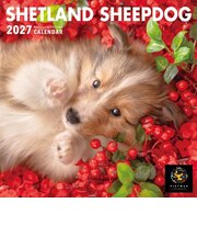 【2027年版・壁掛】　ピクトワン（PICTWAN）　シェットランド・シープドッグ　S判　S045
