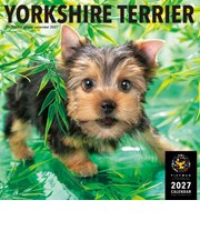 【2027年版・壁掛】　ピクトワン（PICTWAN）　ヨークシャー・テリア　L判　L029