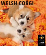 【2027年版・壁掛】　ピクトワン（PICTWAN）　ウェルシュ・コーギー　L判　L028