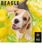 【2027年版・壁掛】 ピクトワン(PICTWAN) ビーグル L判 L002