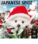 【2027年版・壁掛】　ピクトワン（PICTWAN）　・日本スピッツ　L判　L014