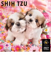 【2027年版・壁掛】 ピクトワン(PICTWAN) シー・ズー L判 L026
