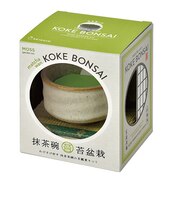 聖新陶芸 抹茶椀苔盆栽 GD1063-3 白