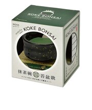 聖新陶芸 抹茶椀苔盆栽 GD1063-1 黒