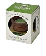 聖新陶芸　抹茶椀苔盆栽　GD1063-2　茶