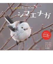 【2027年版・壁掛】 山と溪谷社 白い妖精シマエナガ 863690