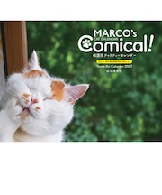 【2027年版・壁掛】 山と溪谷社 MARCO’s CAT 保護猫 863770