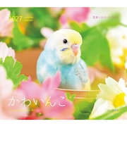 【2027年版・壁掛】　山と溪谷社　かわいんこ　インコと小鳥　863490