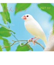 【2027年版・壁掛】 山と溪谷社 ぶんちょう 863500