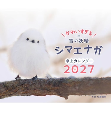 【2027年版・卓上】　芸文社　シマエナガ卓上カレンダー