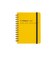 【2026年10月始まり】　デルフォニックス（DELFONICS）　ロルバーンダイアリー　M　マンスリーブロック　170005　イエロー　月曜始まり