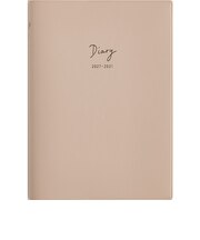 【2027年1月始まり】 高橋書店 5年DIARY B6 デイリー2日1ページ 347 ローズピンク 各月1日始まり