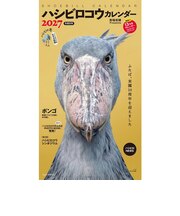 【2027年版・壁掛】 辰巳出版 ハシビロコウカレンダー/南幅俊輔 6104