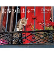 【2027年版・壁掛】 辰巳出版 世界の自由ネコ/岩合光昭 6086