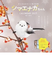 【2027年版・壁掛】 インプレス まんまるかわいい雪の妖精雪の妖精 シマエナガちゃん 6283