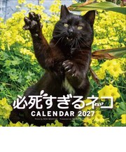 【2027年版・壁掛】　辰巳出版　必死すぎるネコカレンダー/沖昌之　6088