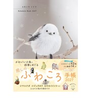 【2026年12月始まり】　インプレス　ふわころことり　B6　マンスリーブロック　月曜始まり