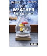 リーメント PEANUTS SNOOPY WEATHER terrarium