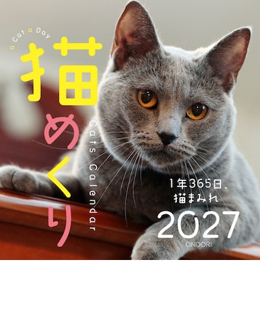 【2027年版・日めくり】　ONDORI　猫めくり