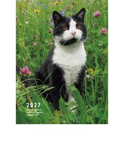 【2026年12月始まり】　クレヴィス　岩合光昭　ねこ手帳　B6　ウィークリー見開き2週間　月曜始まり