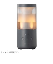 リズム(RHYTHM) コンパクト加湿器 MIST Mini 2 9YY030RH82 ダークグレー