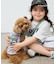 【KIDS】【TOY STORY】ストレッチメッシュDOGウェア