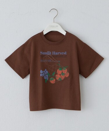 【KIDS】リブアソート柄TEE【AMALFI】