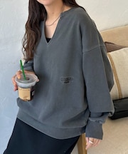 【ユニセックス】ワンポイント刺繍ピグメントスキッパースウェット