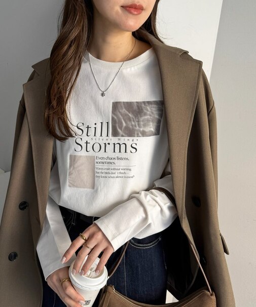 【SS先行予約】フォトロゴプリントロンT