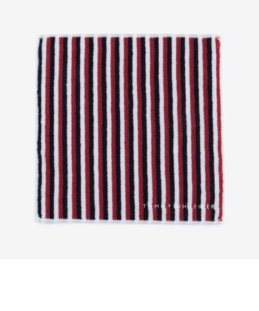 TH STRIPE MINI TOWEL