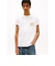 レギュラーツイステッドシグネチャーTシャツ