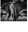 ELEPHANT CURIEUX II  ARTSHOT
