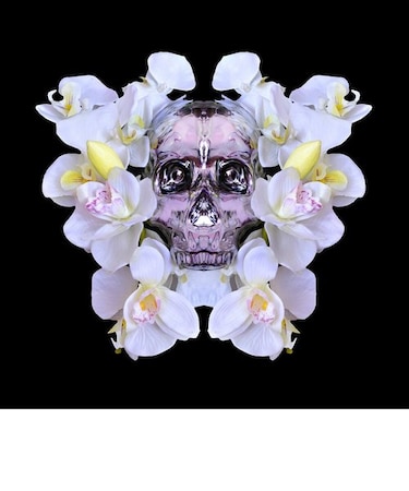 MADUSA  ARTSHOT