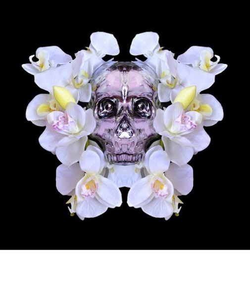 MADUSA  ARTSHOT