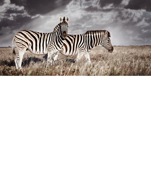 イエローコーナーの通販｜&mall（アンドモール）三井ショッピング