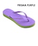 PRISMA PURPLE