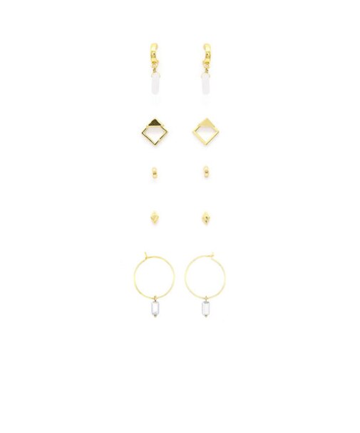 HOSDIA ROSE 5 SETS
