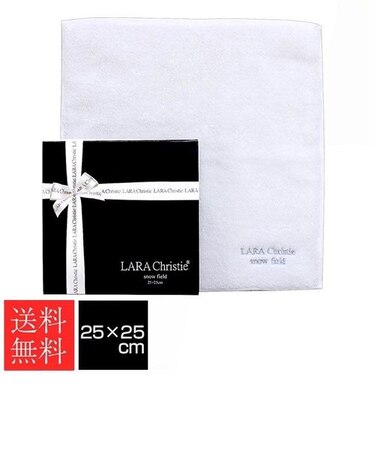 ハンカチ snow field 今治タオル コットン 高級 25cm x 25cm 定番 lh92-0001 ネコポス便 STYLE ララクリスティー