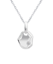 ネックレス レディースバー デザイン シルバー925 silver 小ぶり